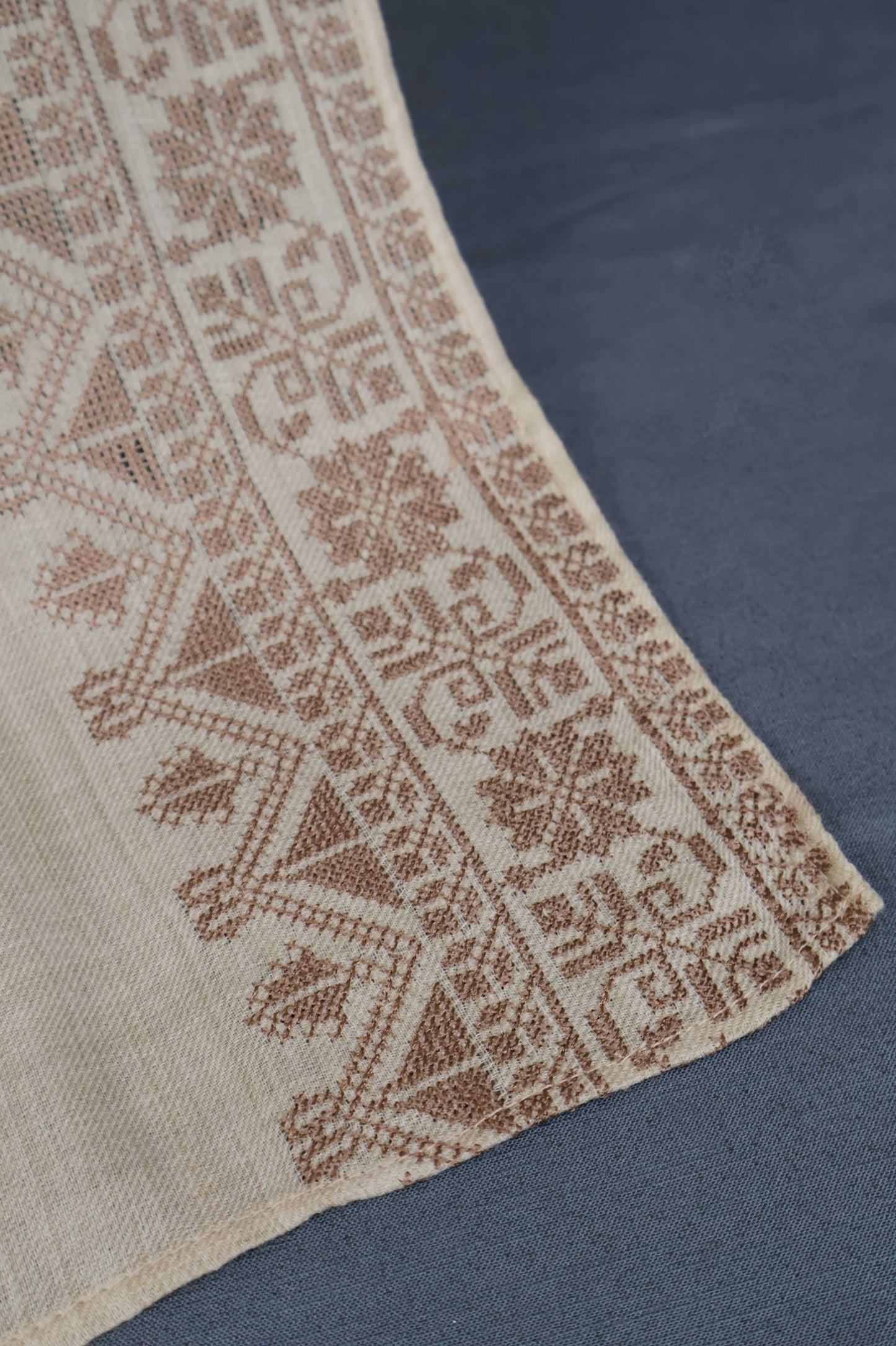 Embroidered Pashmina Shawl Sh44