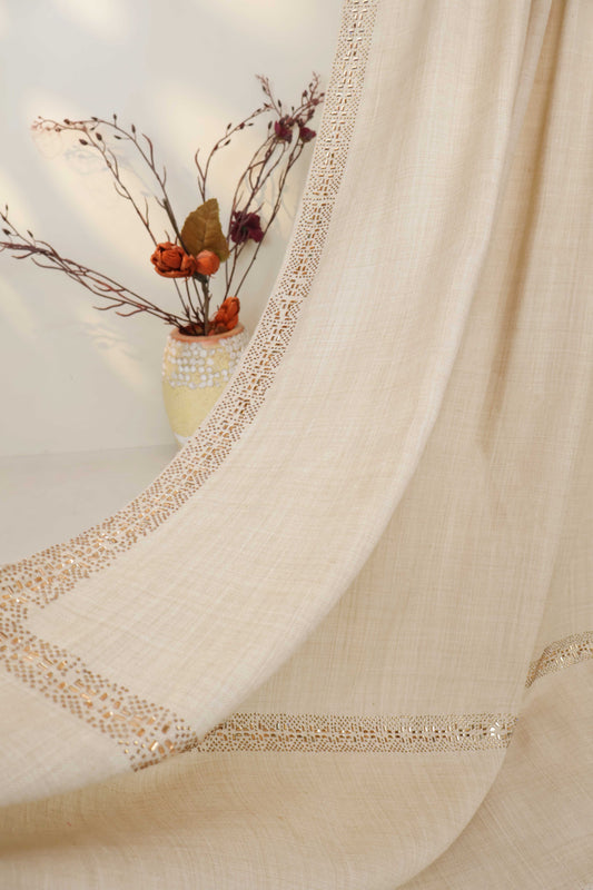 Stone Border Pashmina Shawl  PDWSH47