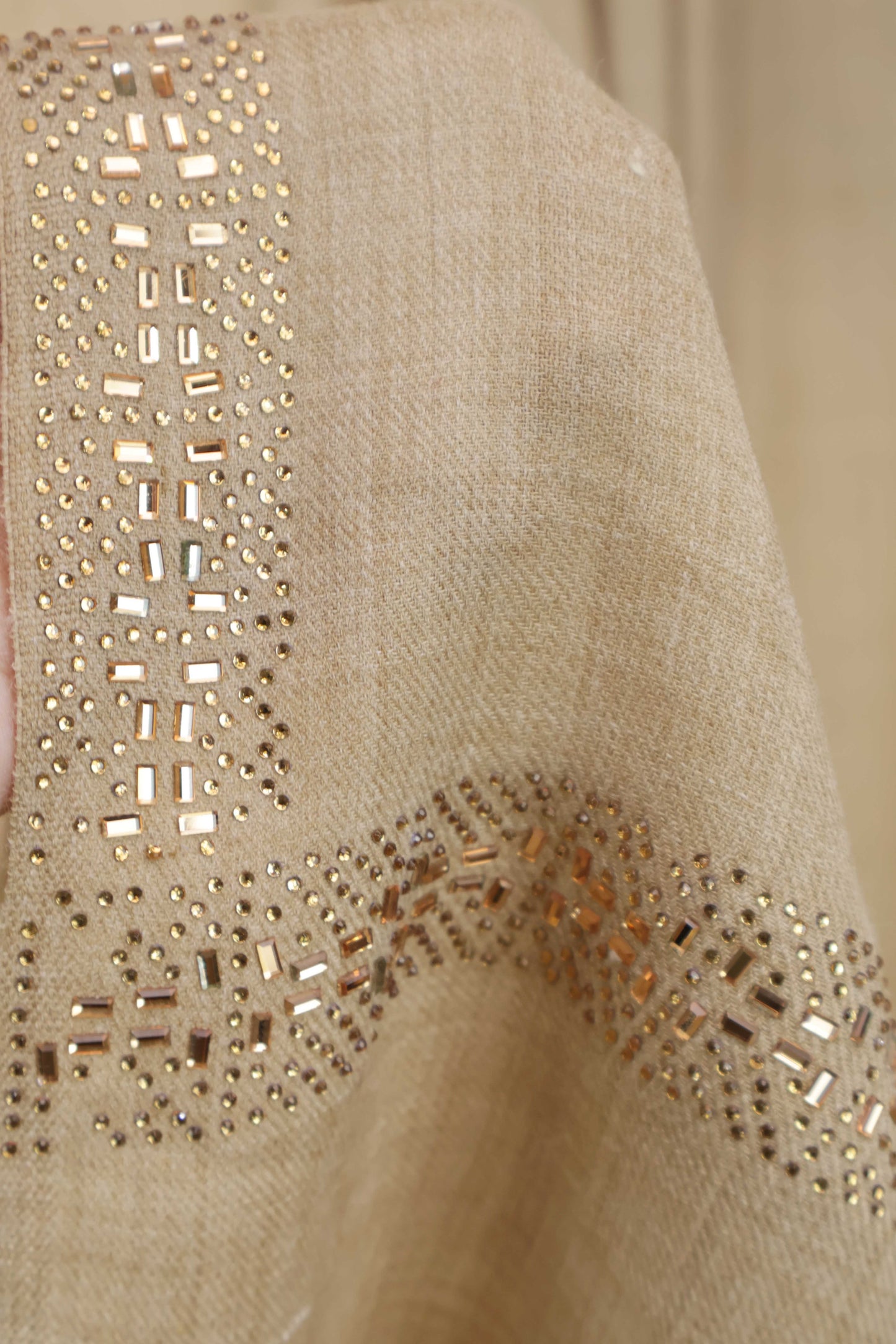 Stone Border Pashmina Shawl  PDWSH45