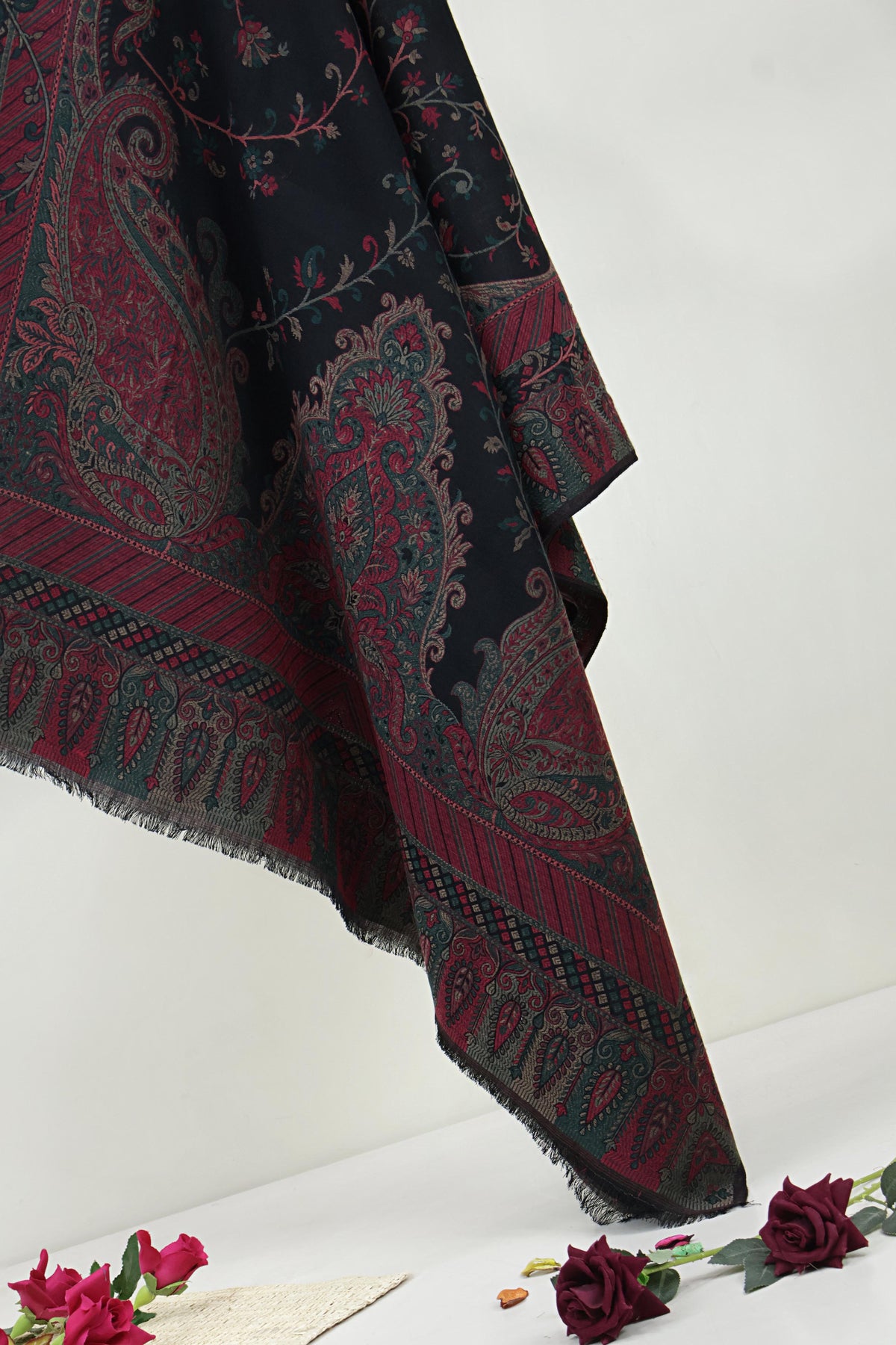 Kani Border Pashmina Shawl  3641H